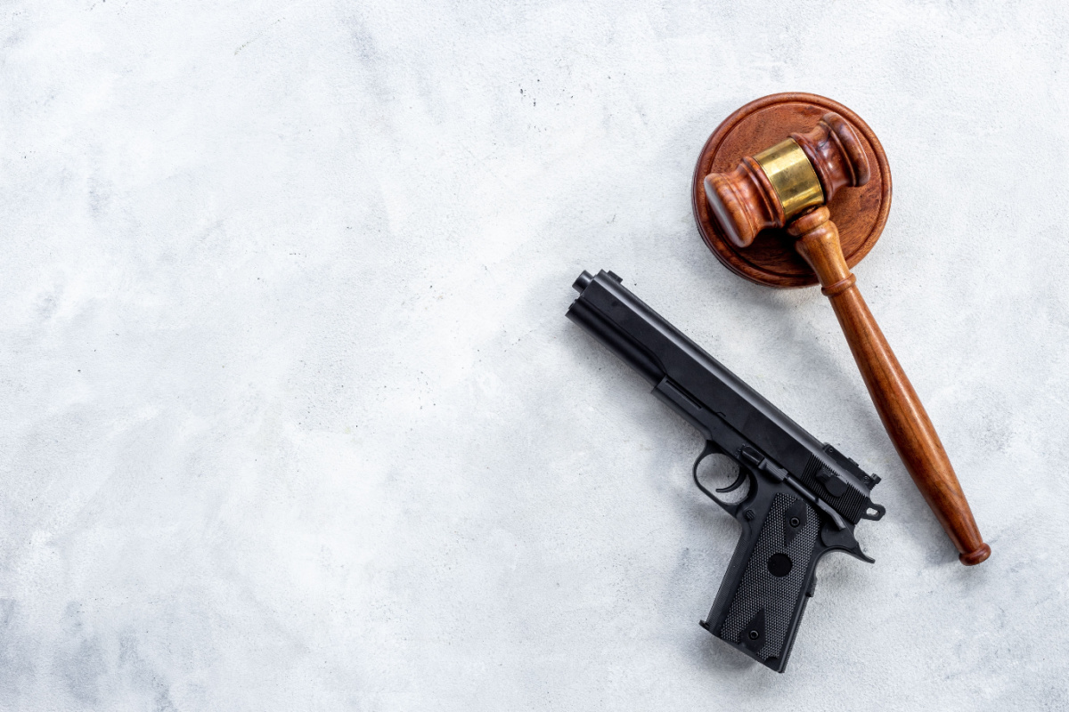 Gun Possession Law